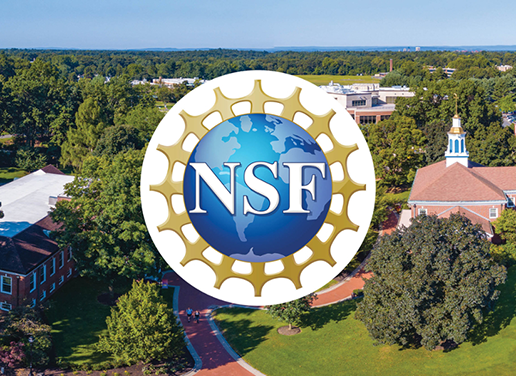 NSF grant logo