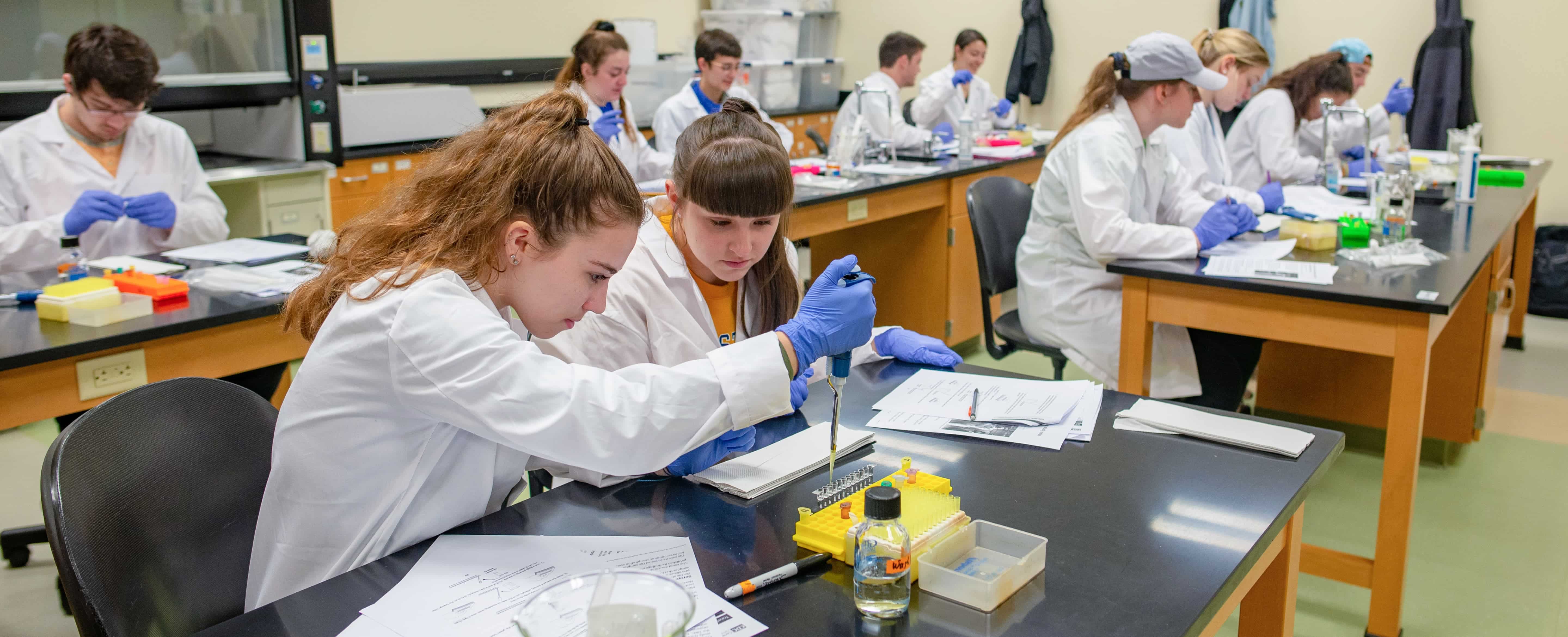 Biology students working in a lab classroom.