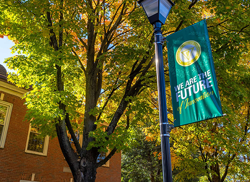 Light pole banner on campus