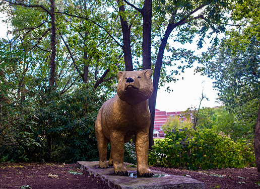 golden bear statue