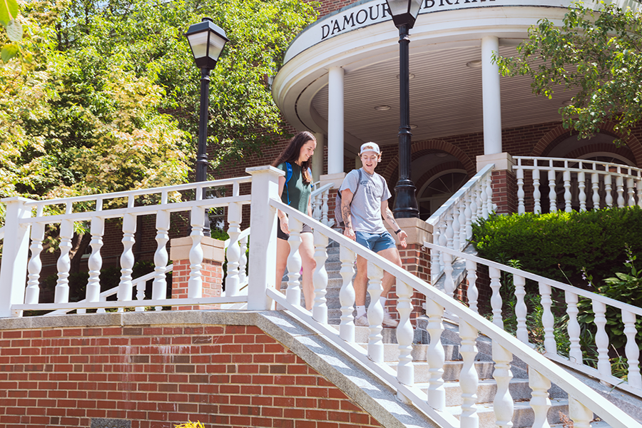 Two students walking down the library steps