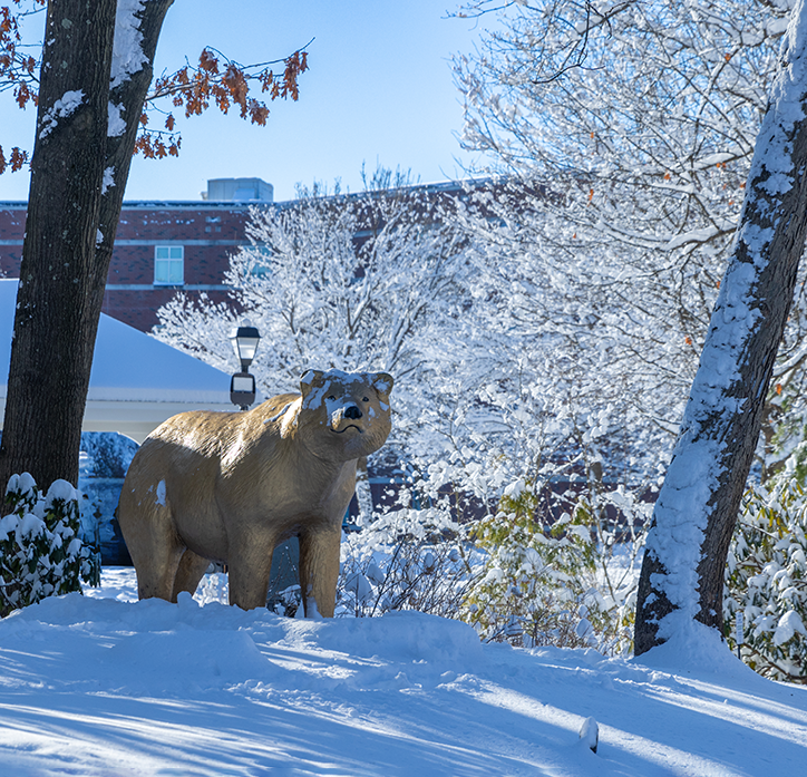 Bear statue