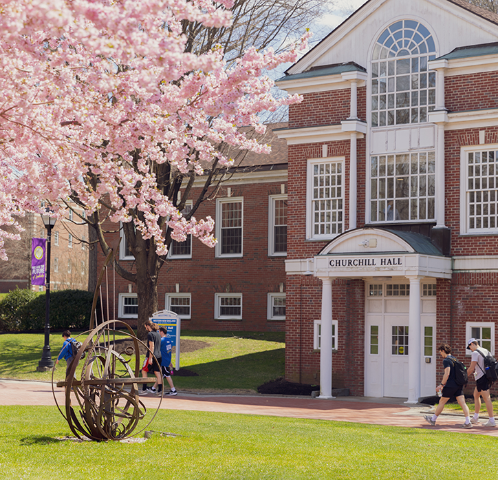 Cherry blossoms on campus