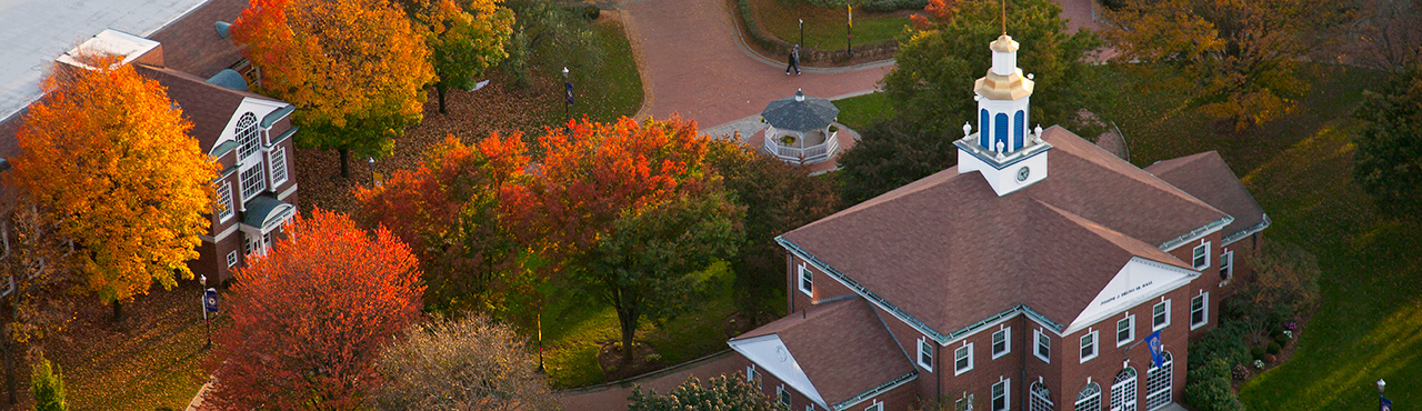 Campus in the fall
