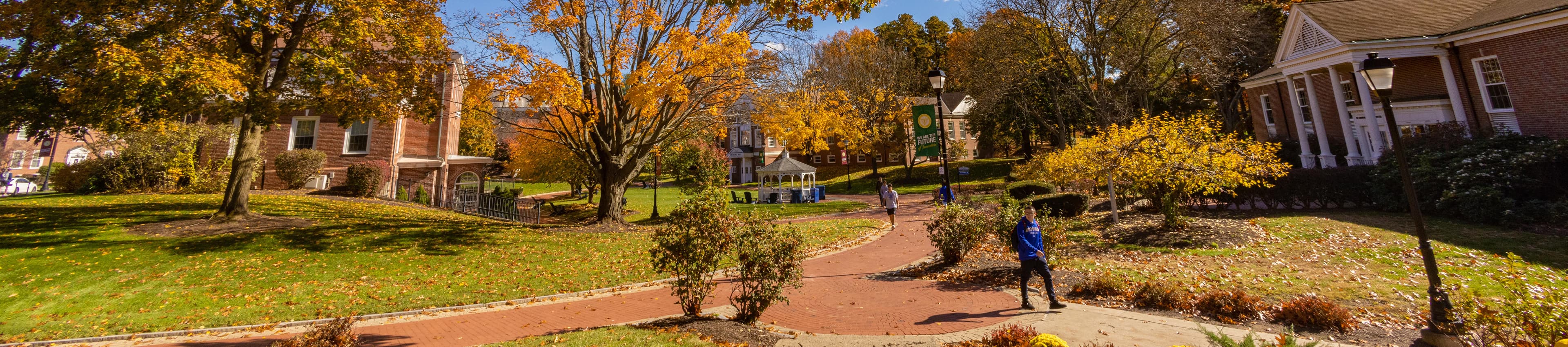Campus in the fall 