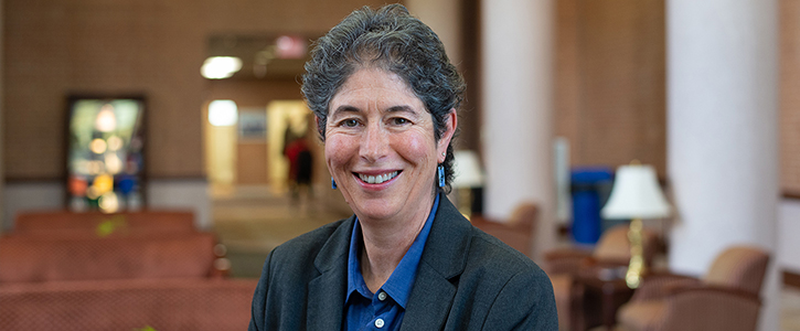 Professor Beth D. Cohen, WNE School of Law Interim Dean