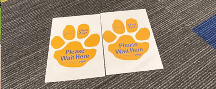 Golden Bear paw prints on floors "Please Wait Here" signaling social distancing.