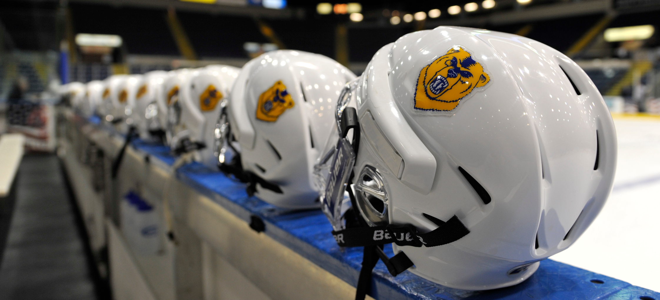 hockey helmets with golden Bears Logo