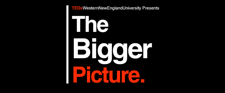 TEDxWNE logo - The Bigger Picture