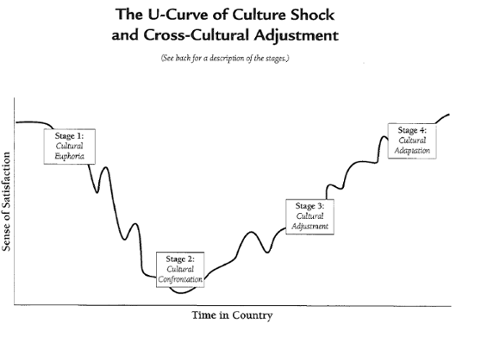 MAXSA Culture Shock Graph