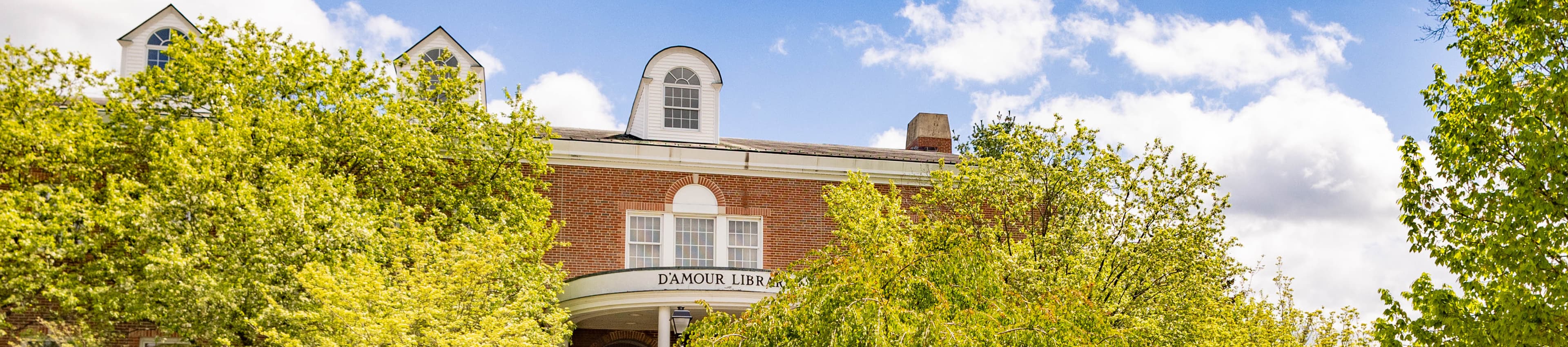 D'Amour library