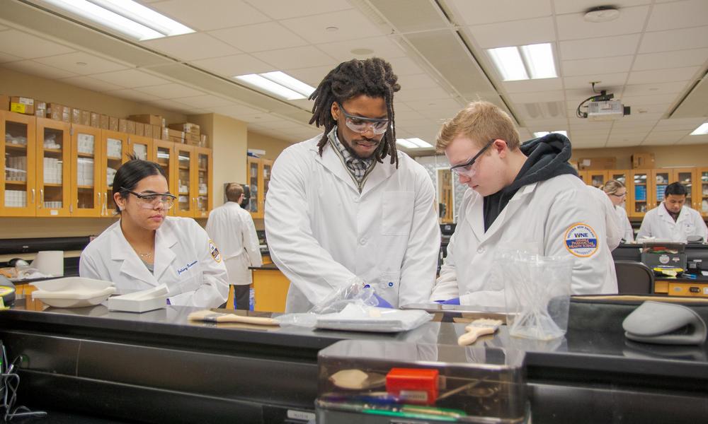 Pharmacy students collaborate in the lab.