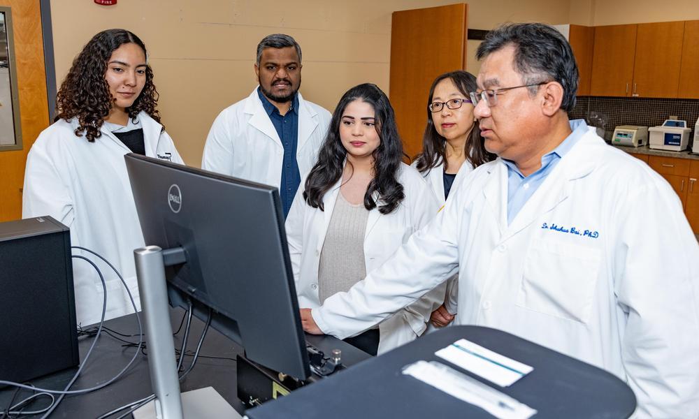 WNE Researchers Recognized for Innovation in Online Learning and Pharmacy