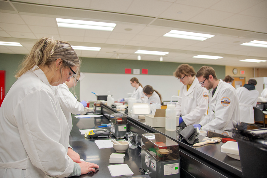 Students in pharmacy lab