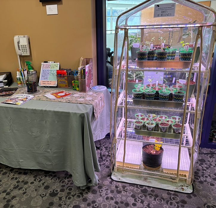 Roots of Wellness