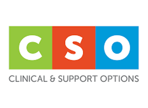 cso logo