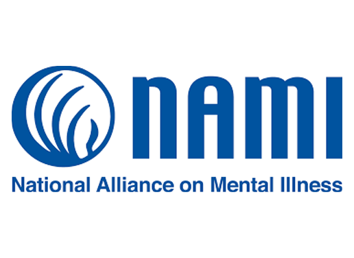 nami logo