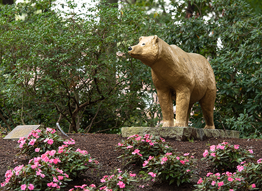 Golden Bear statue