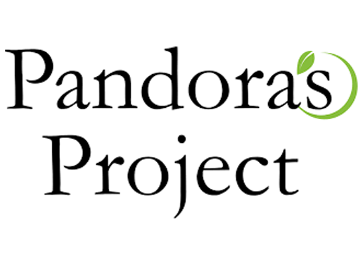 pandora's project logo